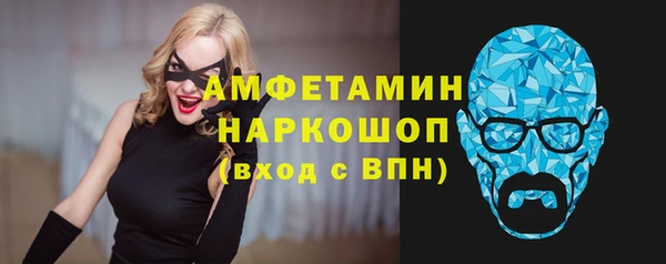 мдпв Козельск