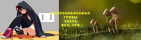 мдпв Козельск